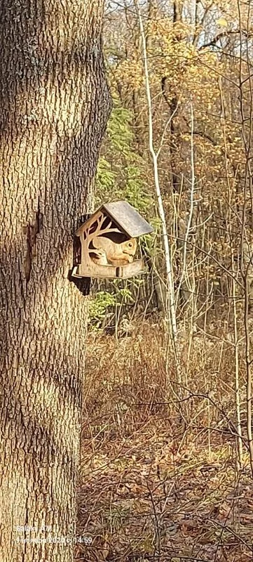 Чайная беседка