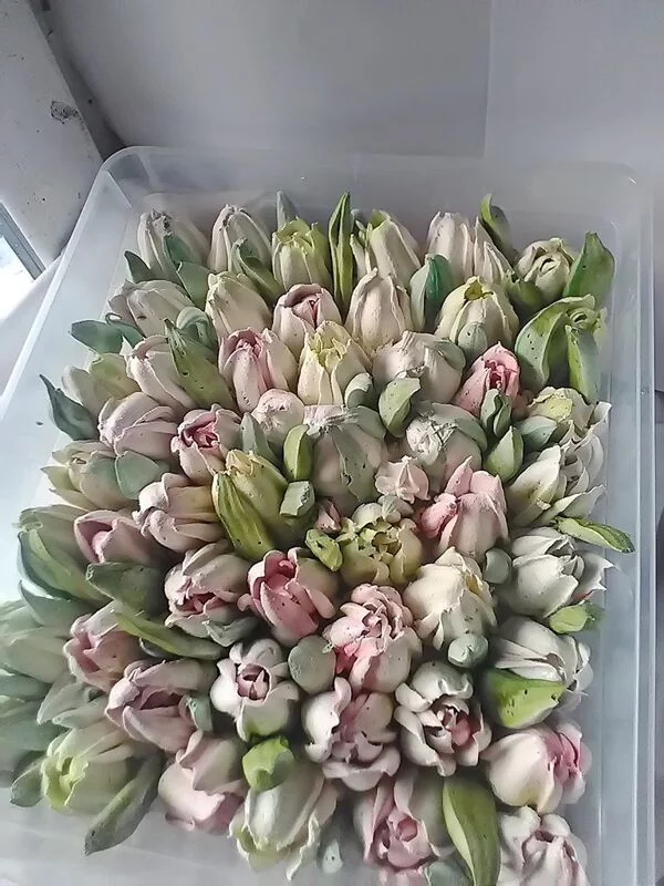 Зефирные букеты и композиции