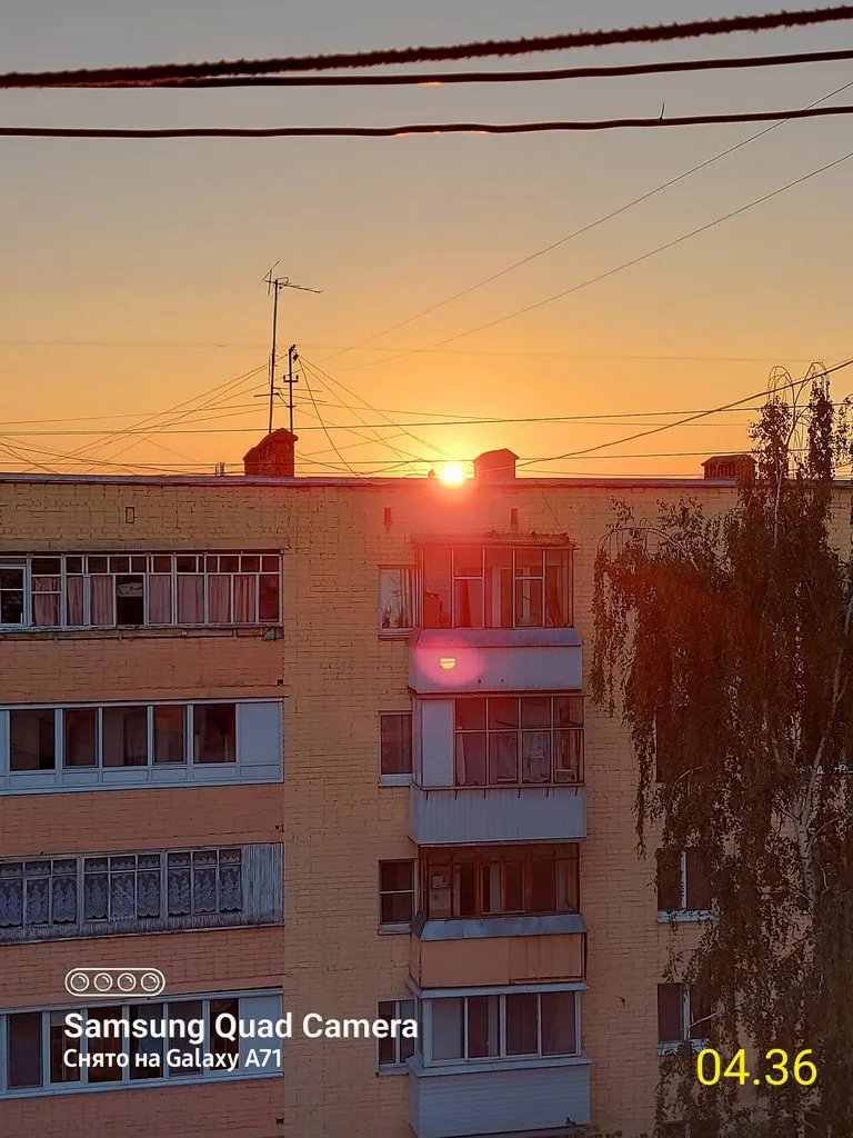 Чайная беседка