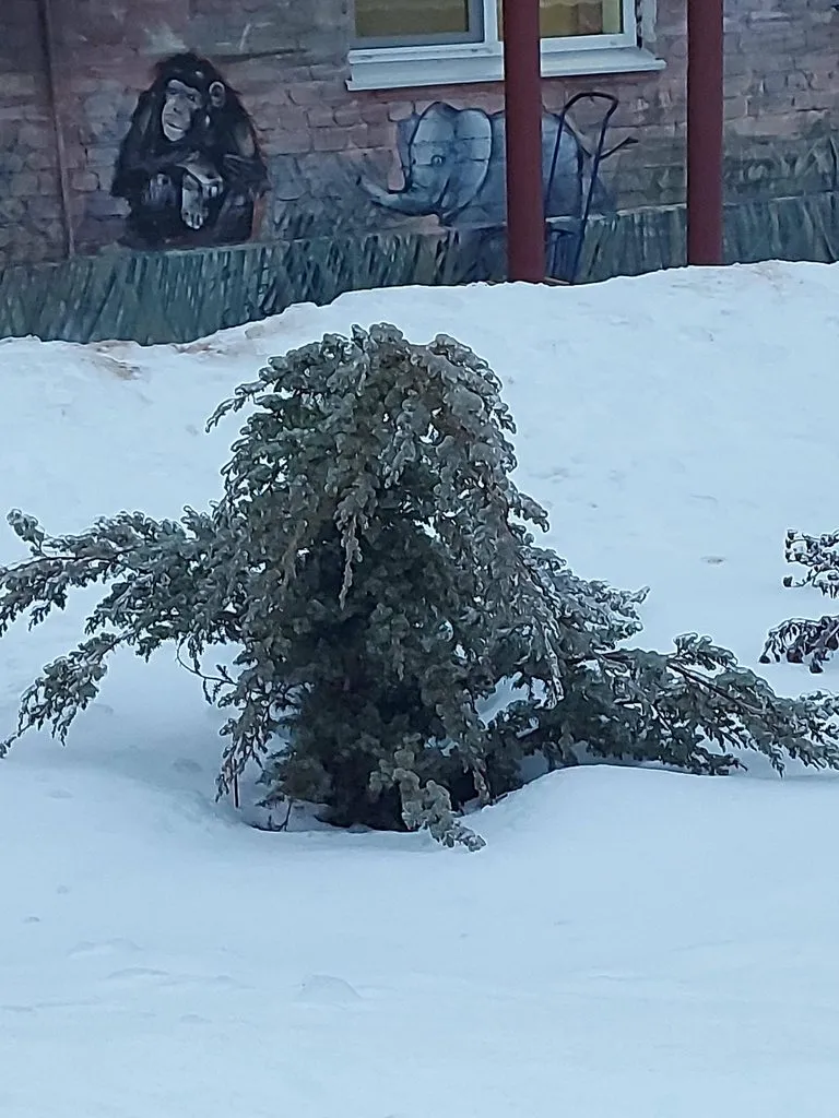 Чайная беседка