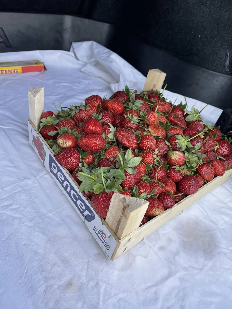 Фуд Сити в Москве