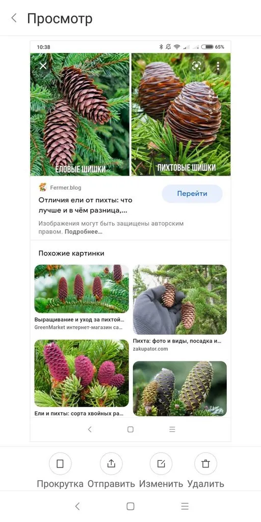 Кафе «У пани Сони»