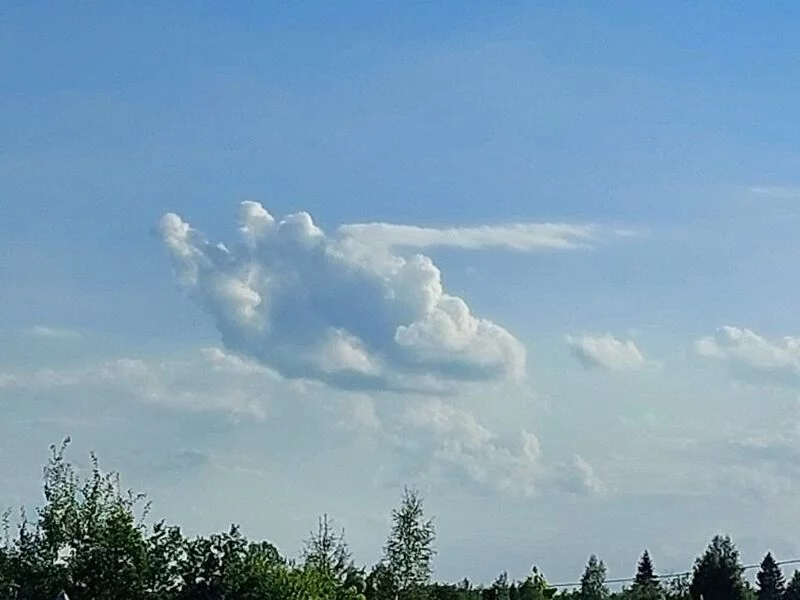 Такое разное небо