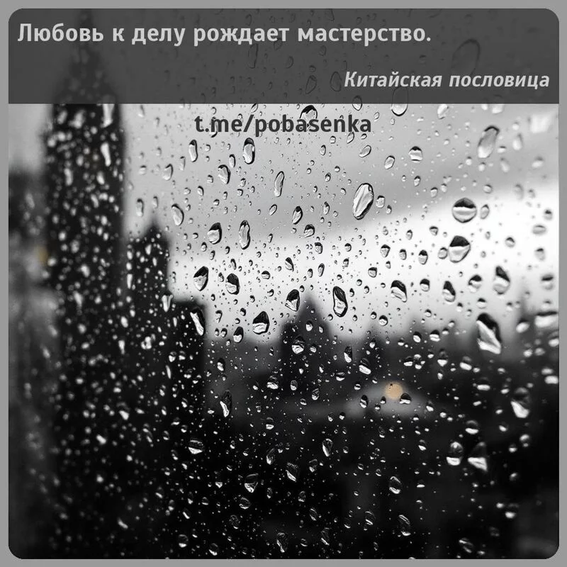 «Любовь к делу рождает...» height="550" width="550"
