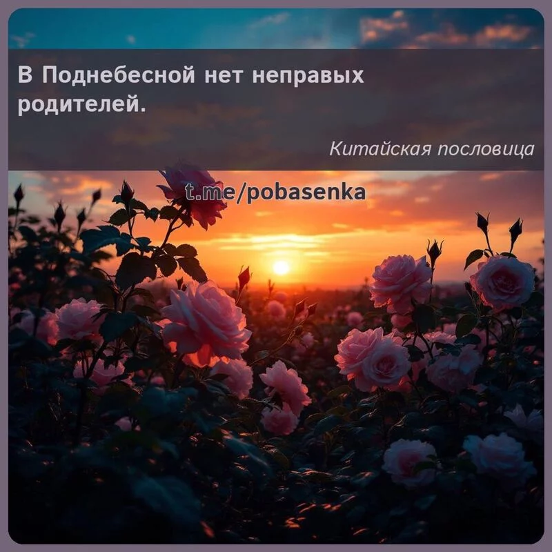 «В Поднебесной нет неправых...» height="550" width="550"