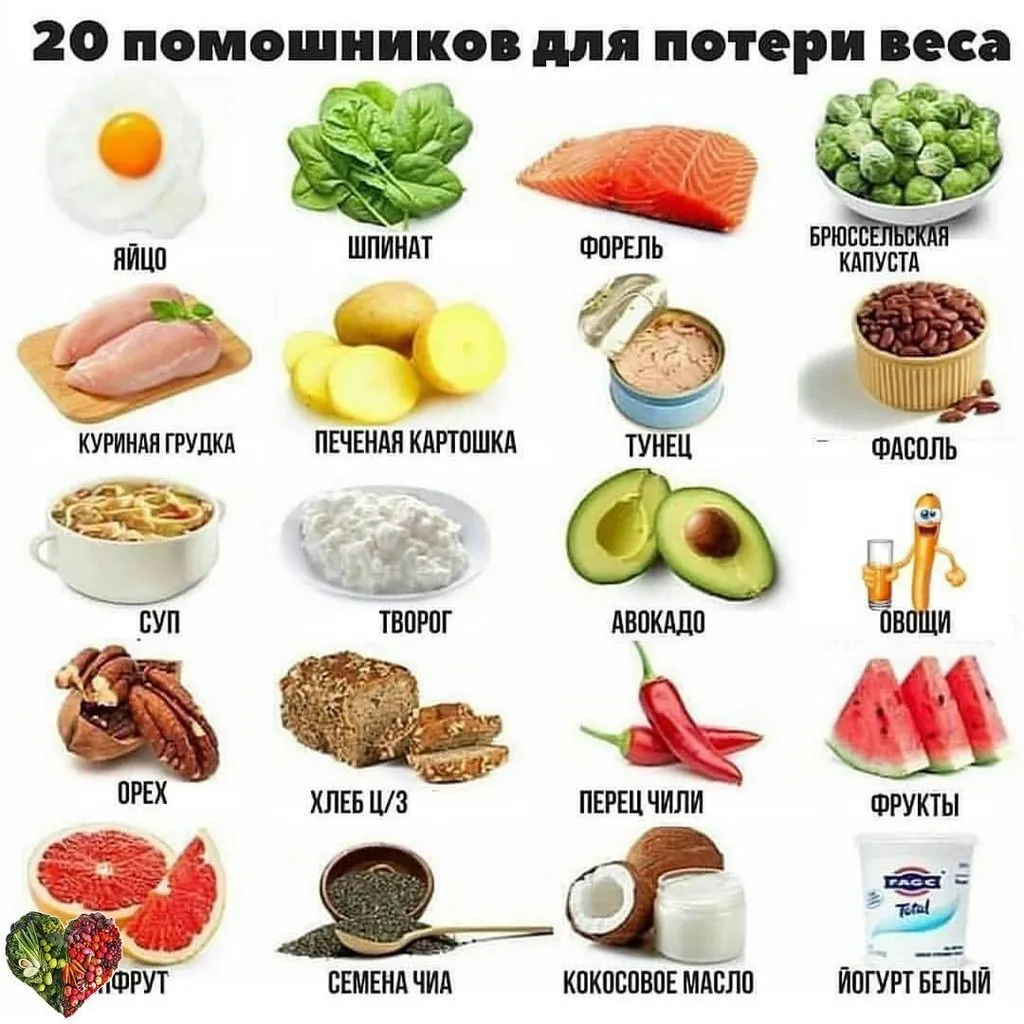 Кулинарная инфографика