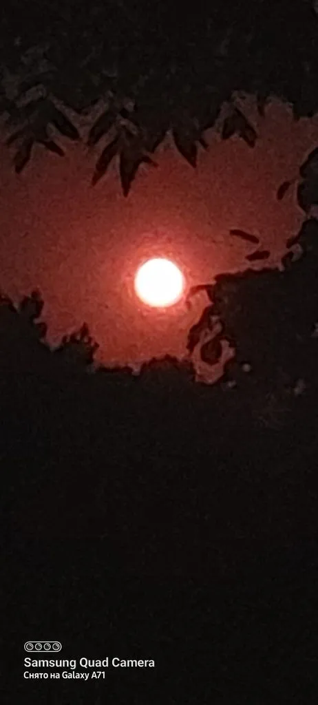 Tapтaлeтки & Ко