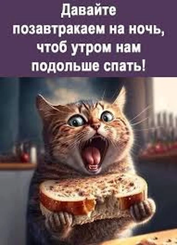 Спецсредства для сна (и подготовки ко сну)