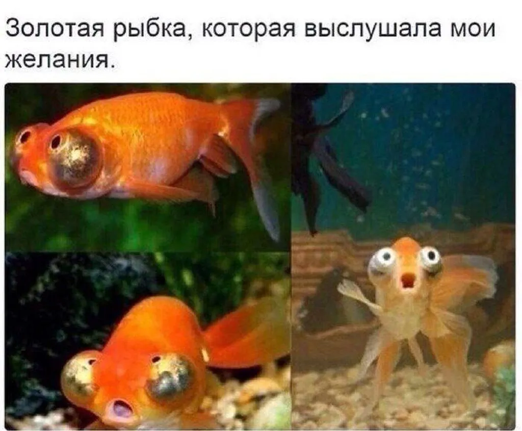 Посмеялся сам - поделись с другом!!!
