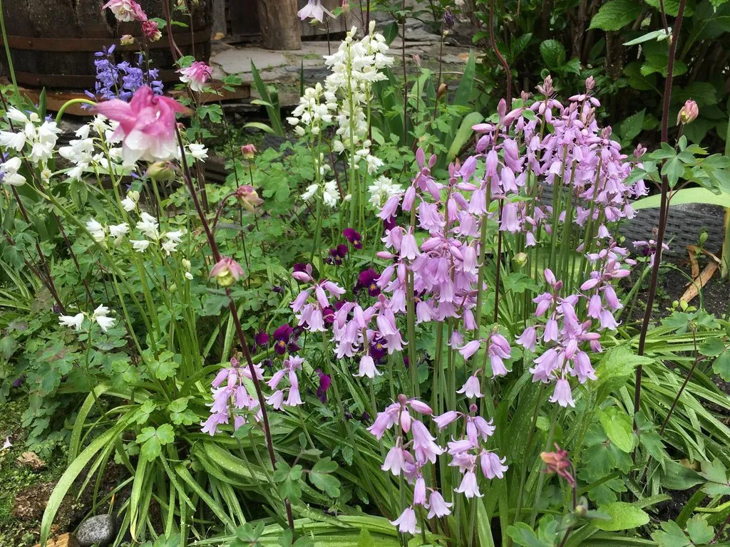 Чайная беседка