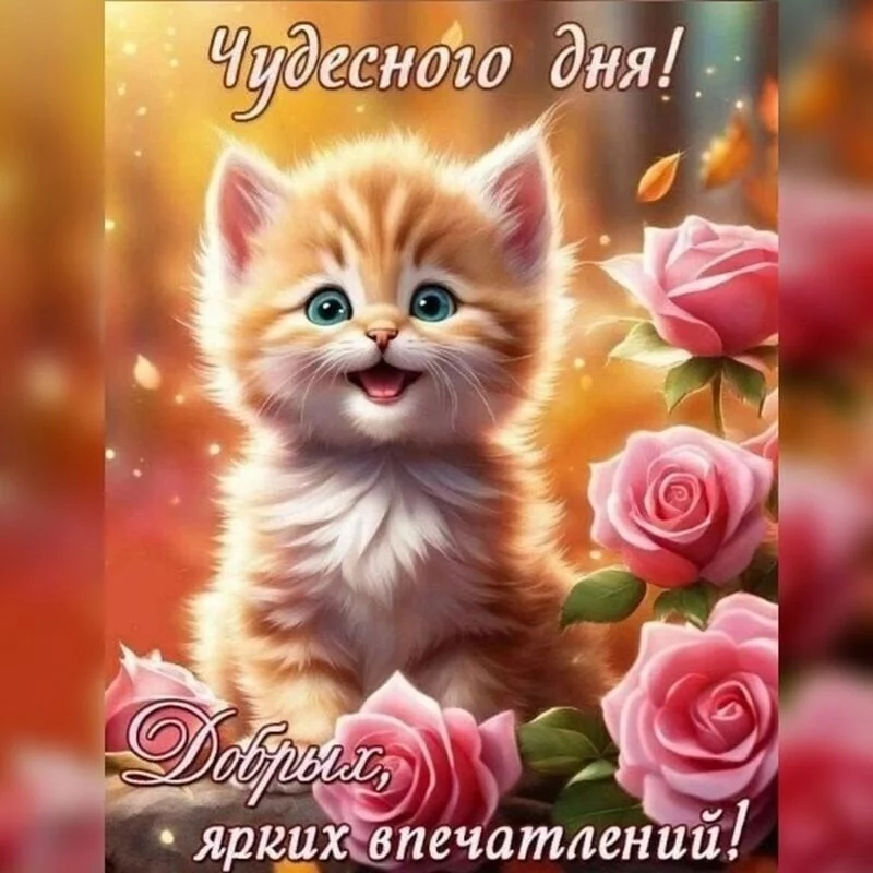 Кафе "У пани Сони"