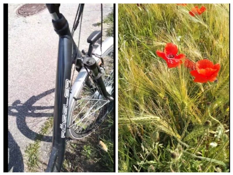 Чайная беседка