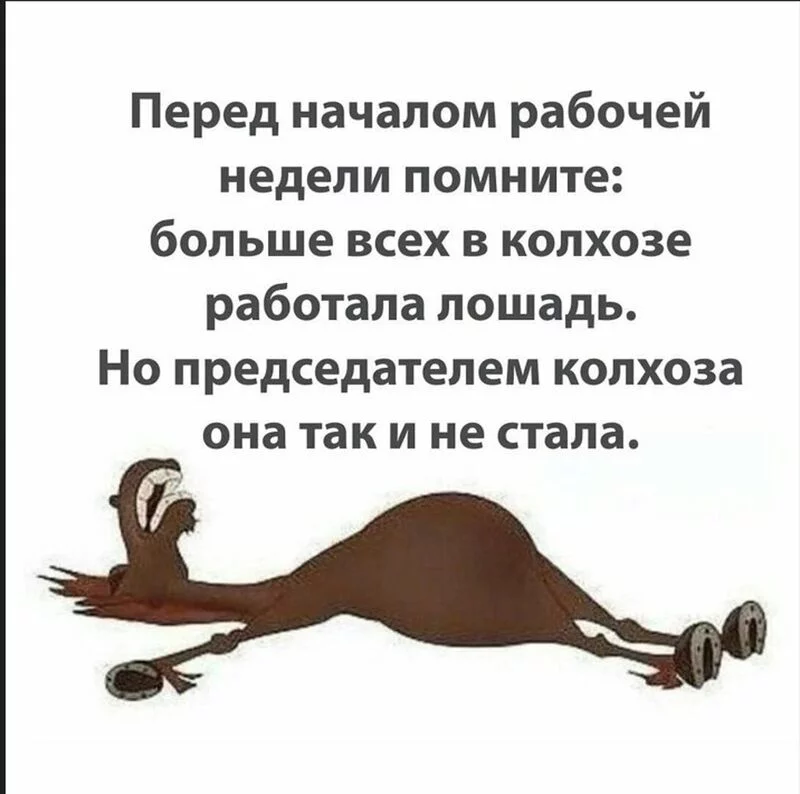 Позитивчик (фото, видео, рассказы для хорошего настроения)