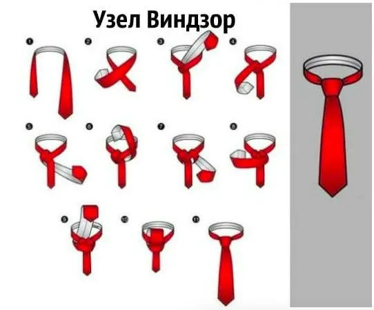 Домашняя инфографика