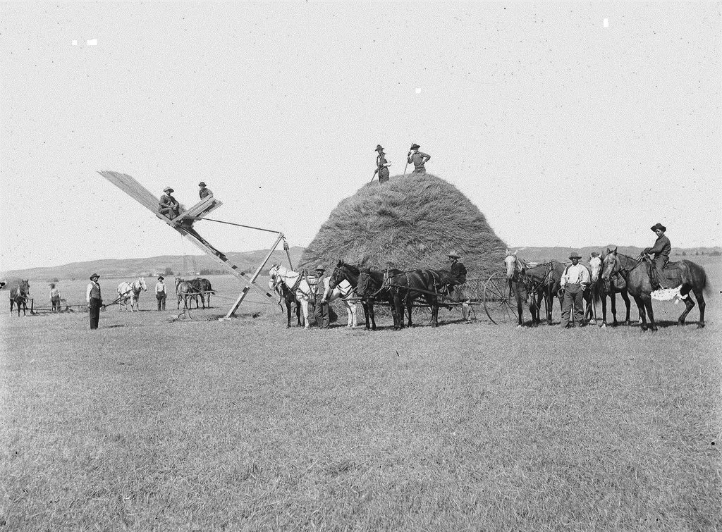 Запечатленная история