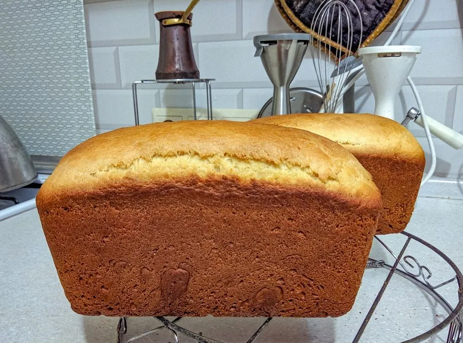 «Вечные дрожжи», картофельно-хмелевые  (Закваска без муки). Рецепты выпечки.