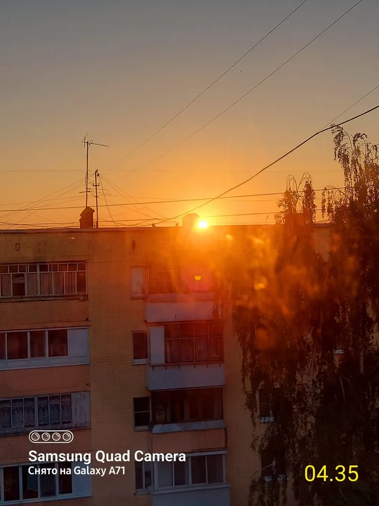 Чайная беседка