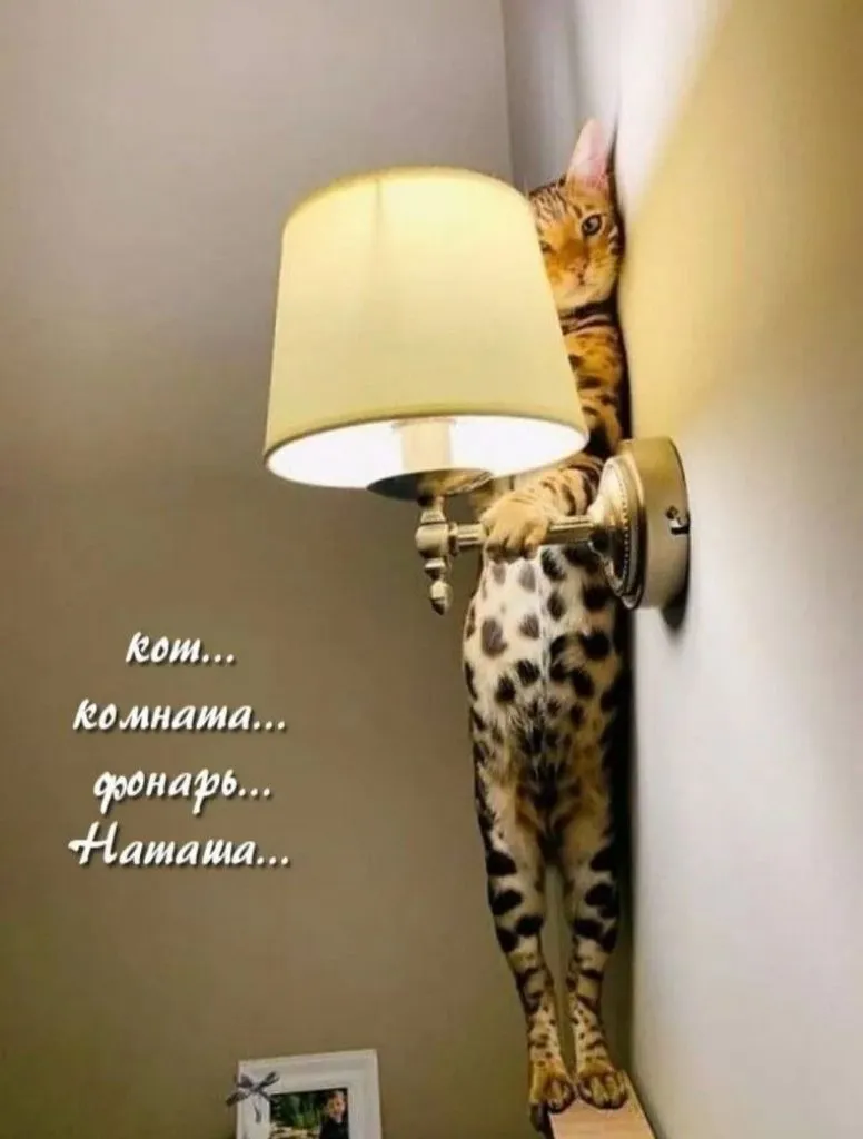 Посмеялся сам - поделись с другом!!!