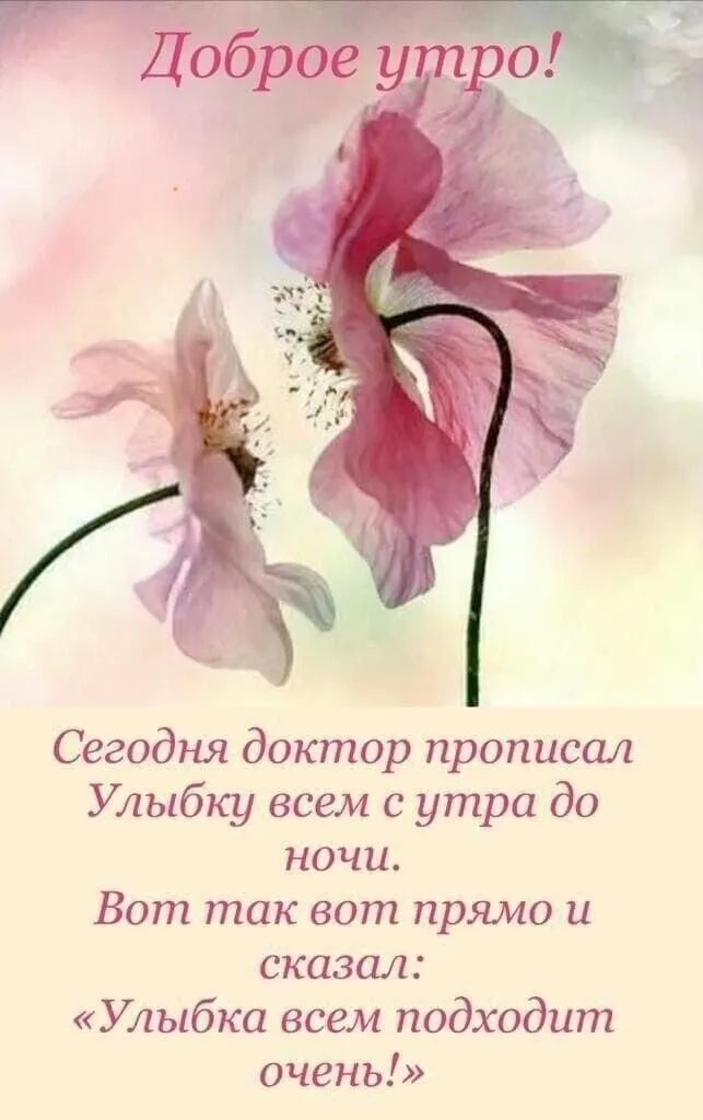 Tapтaлeтки & Ко