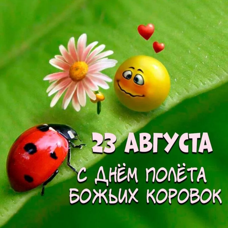 Кафе "У пани Сони"