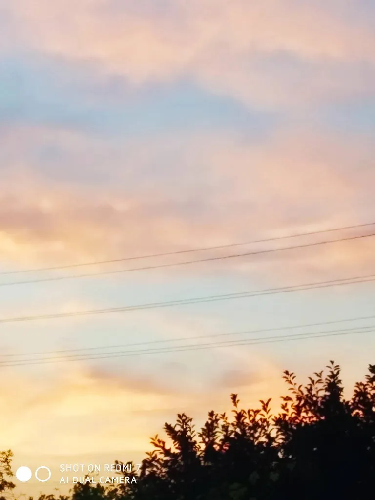 Чайная беседка