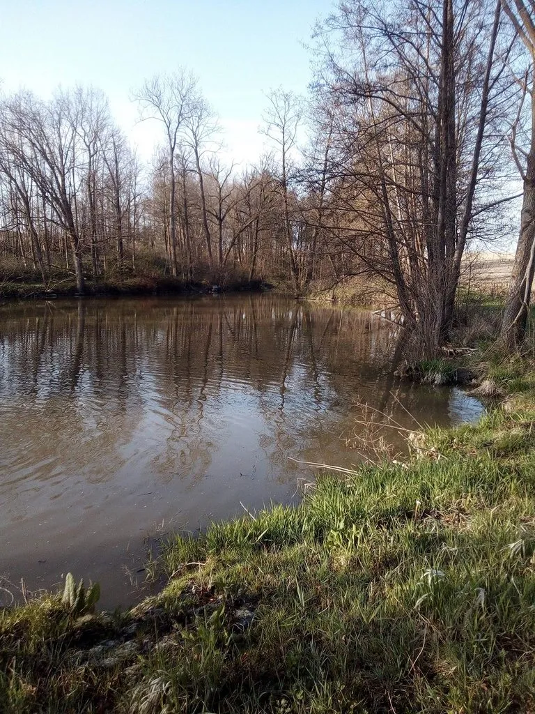 Чайная беседка