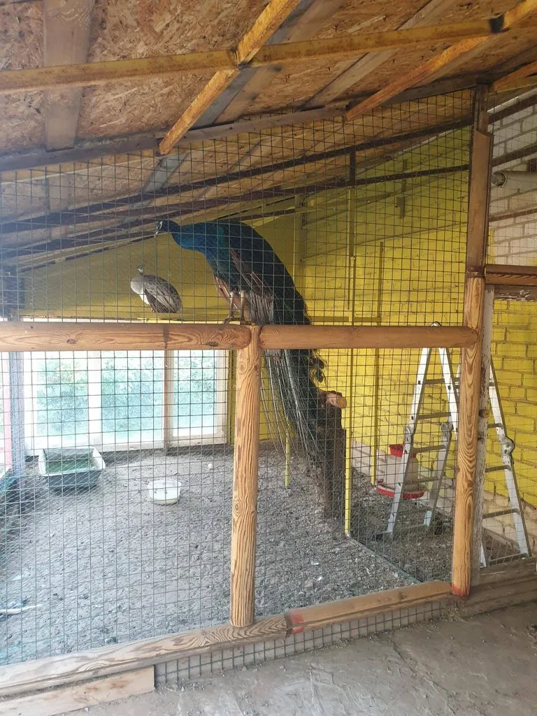 Чайная беседка