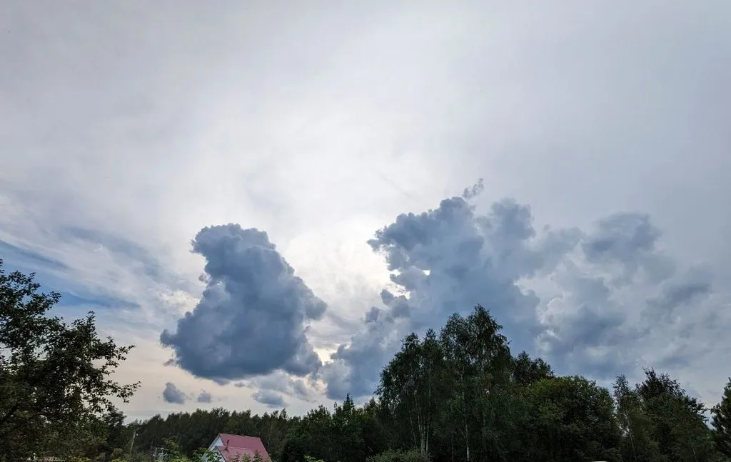 Такое разное небо