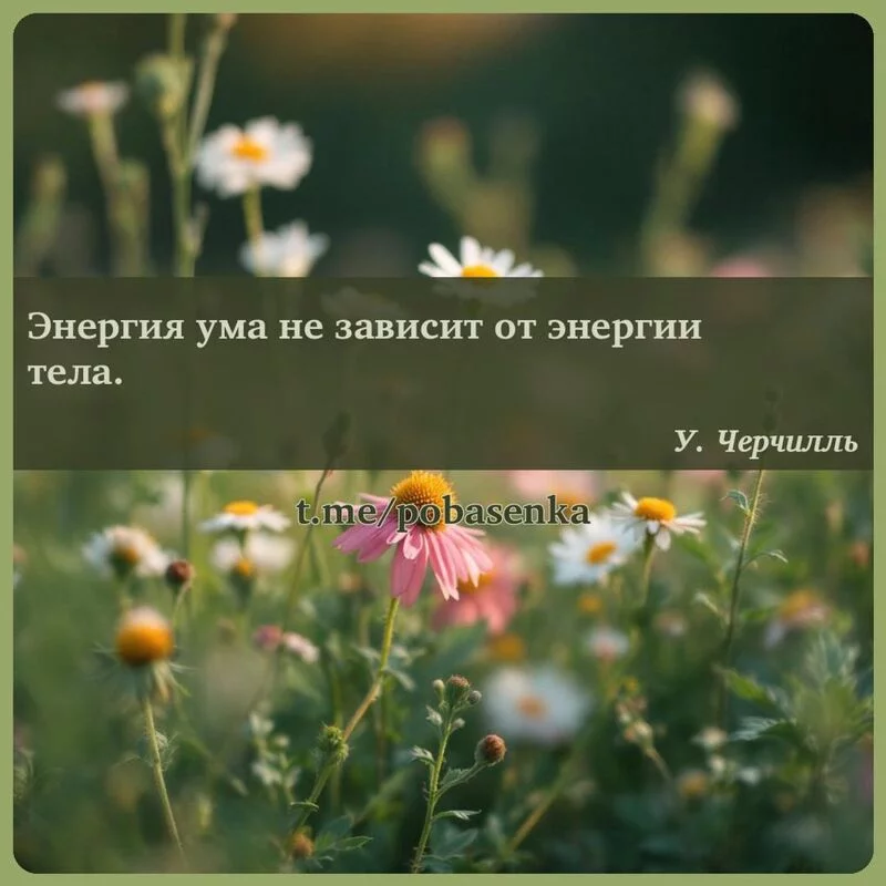 «Энергия ума не зависит от энергии...» height="550" width="550"