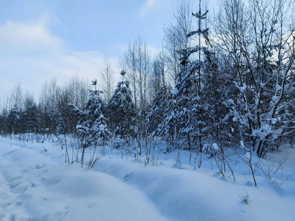 Tapтaлeтки & Ко