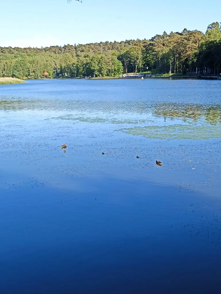 Калининградская область (не только море и янтарь) 