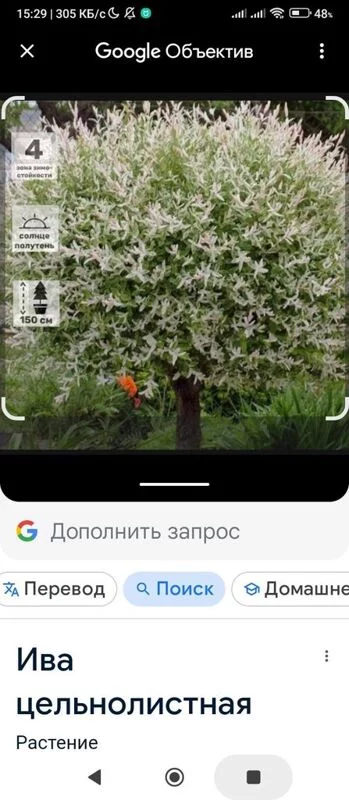 Кафе "У пани Сони"