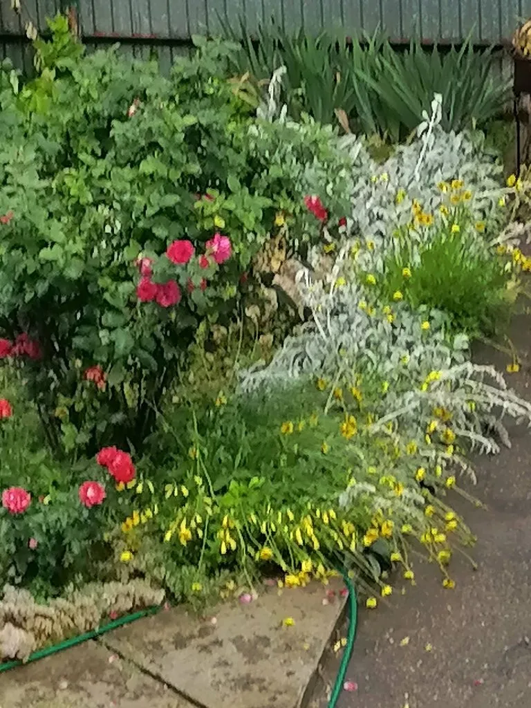 Чайная беседка