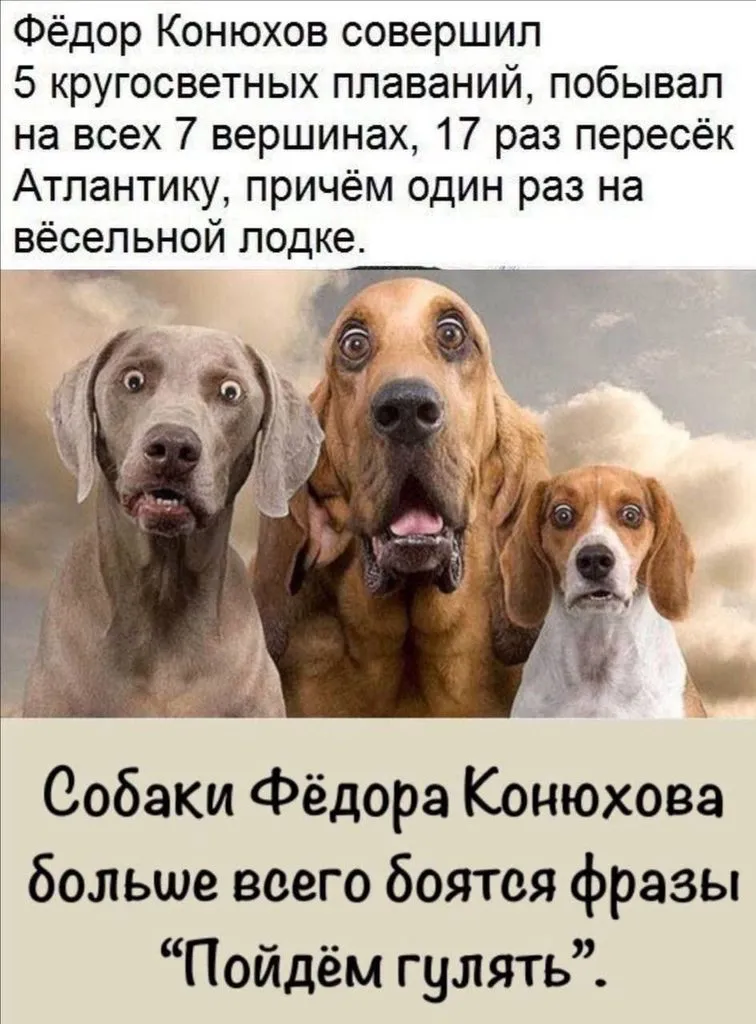 Посмеялся сам - поделись с другом!!!