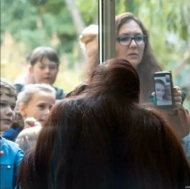 Посмеялся сам - поделись с другом!!!