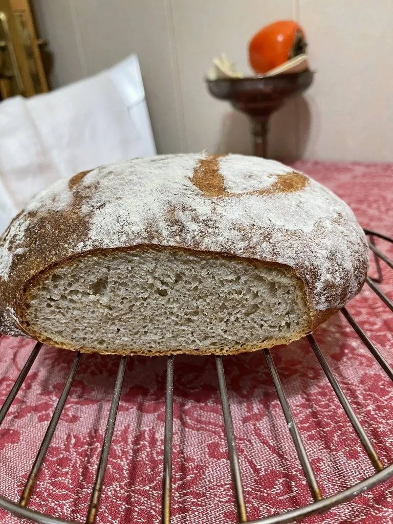 Tapтaлeтки & Ко