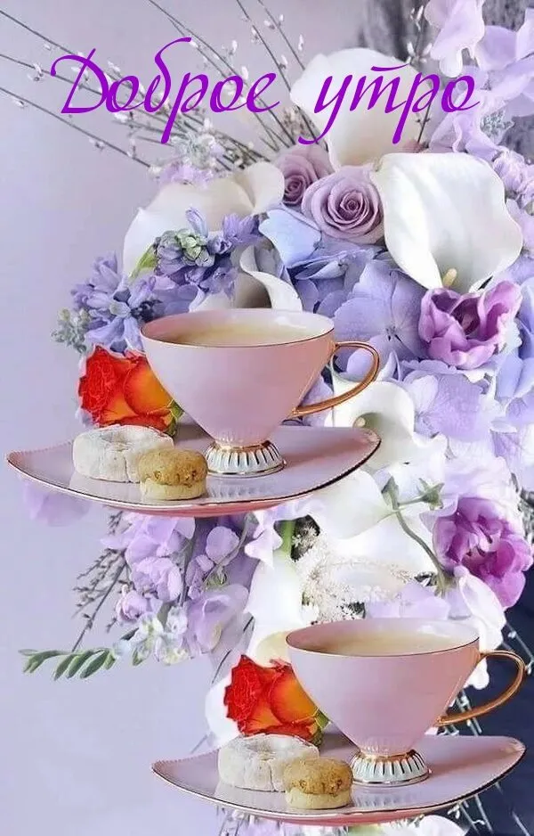 Чайная беседка