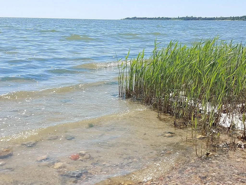Чайная беседка