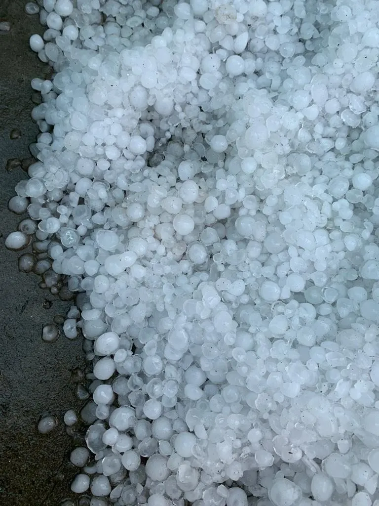 Чайная беседка