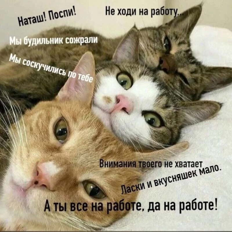Посмеялся сам - поделись с другом!!!