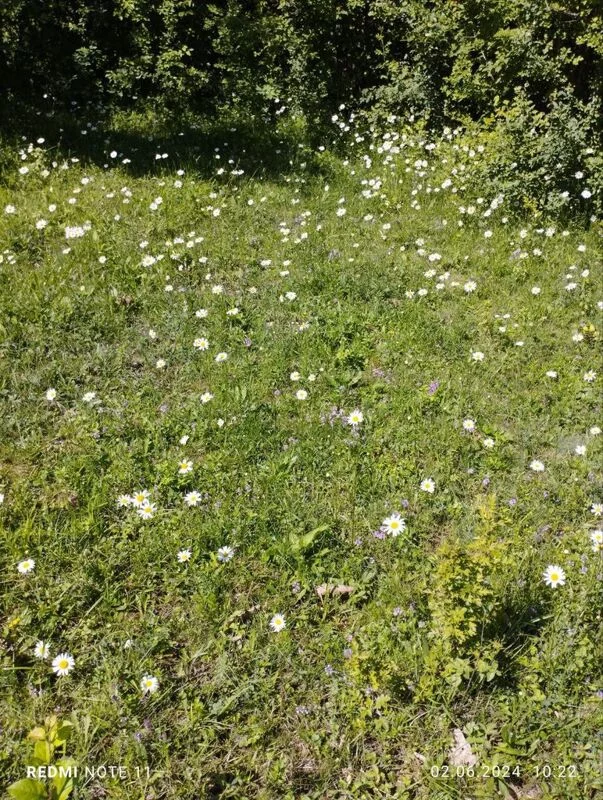 Фотонастроение