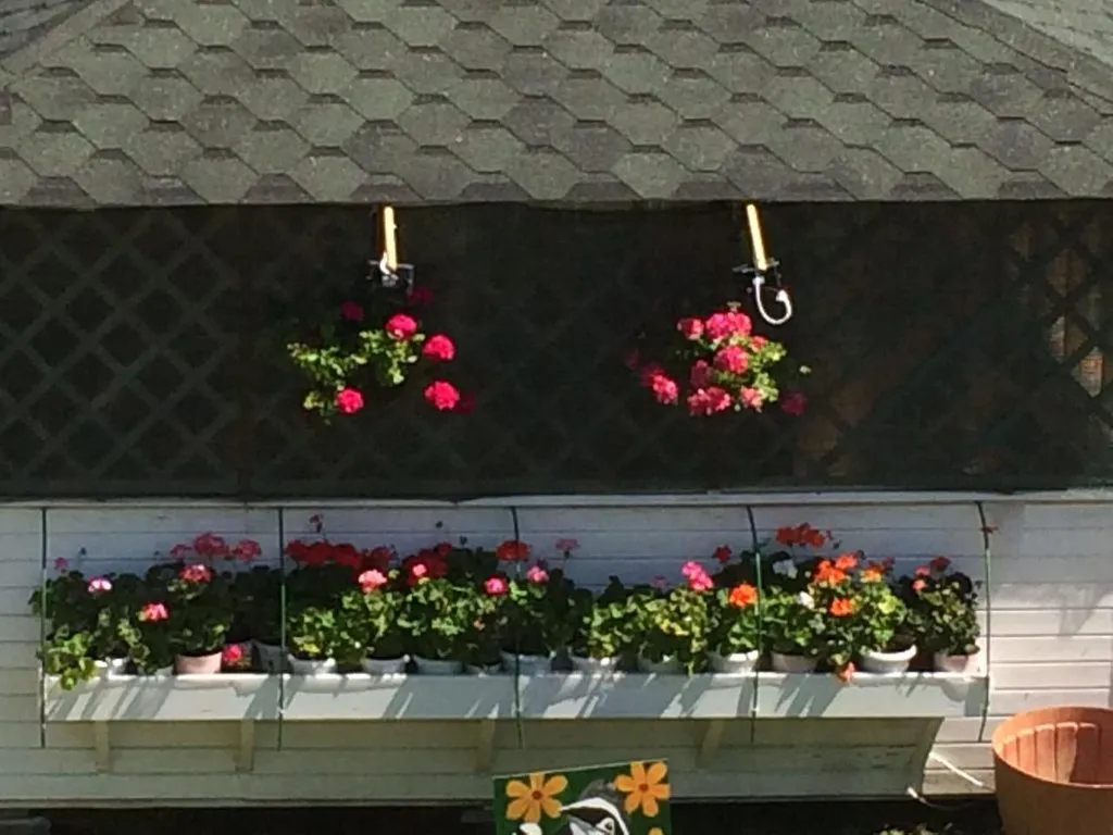 Чайная беседка