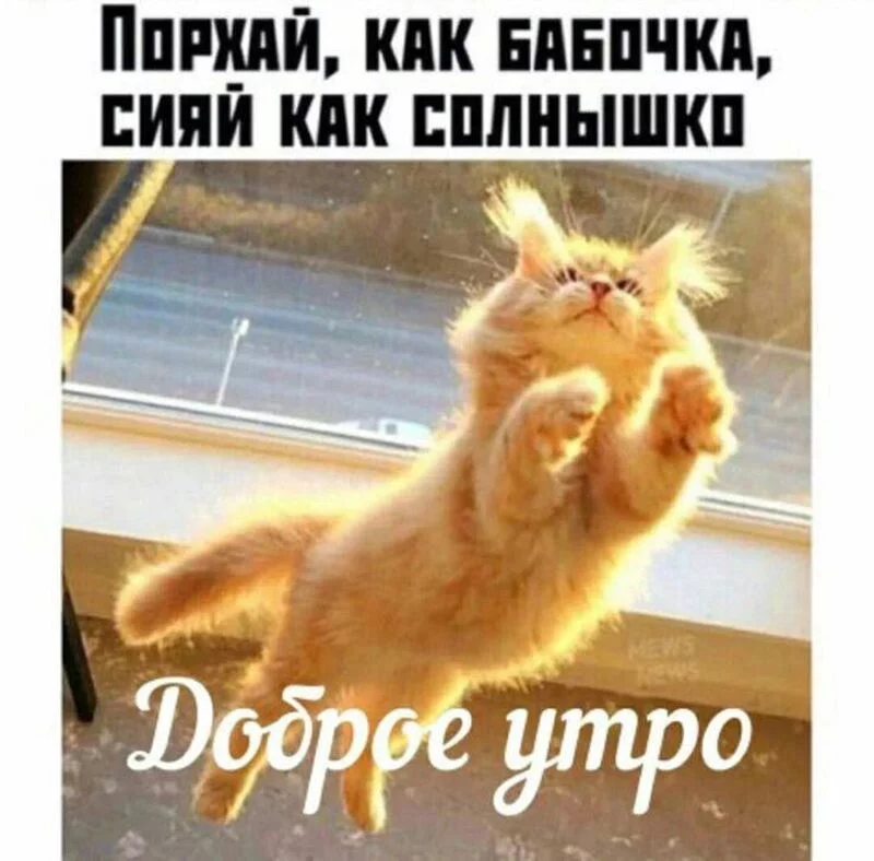 Кафе "У пани Сони"