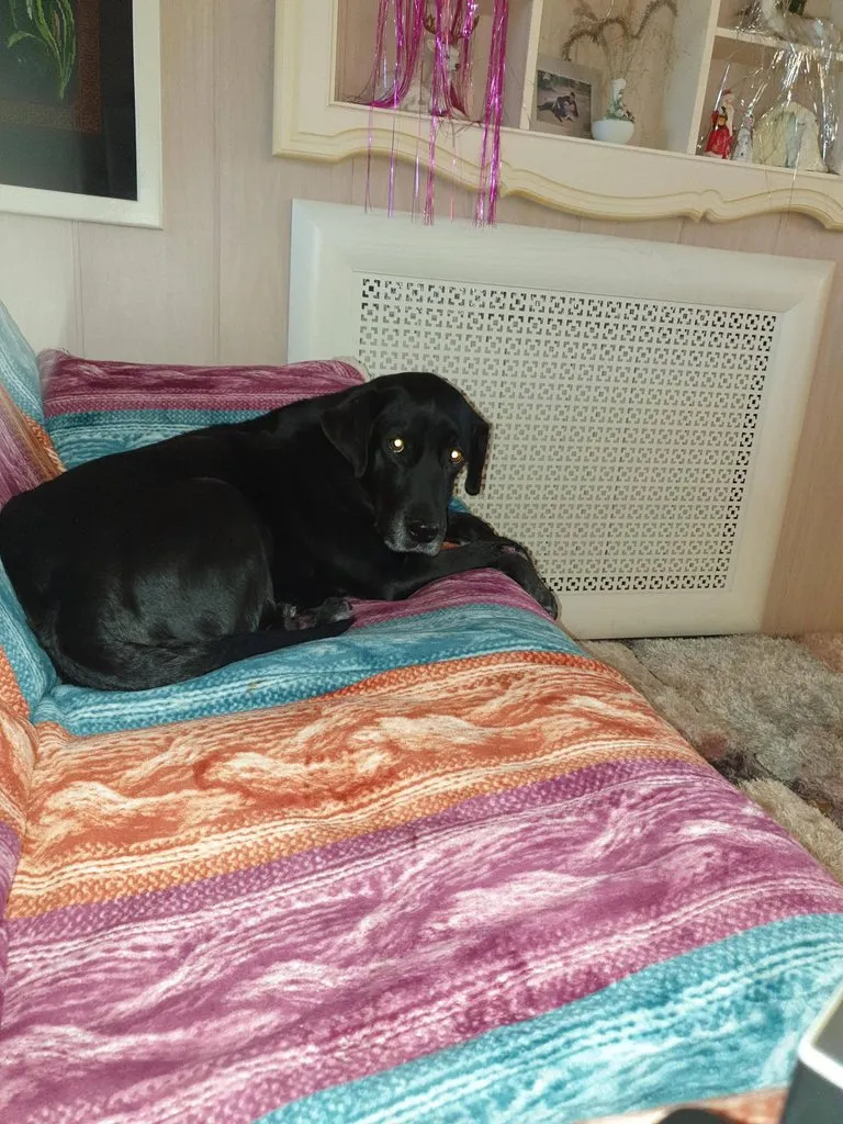 Чайная беседка