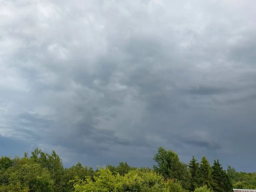 Такое разное небо