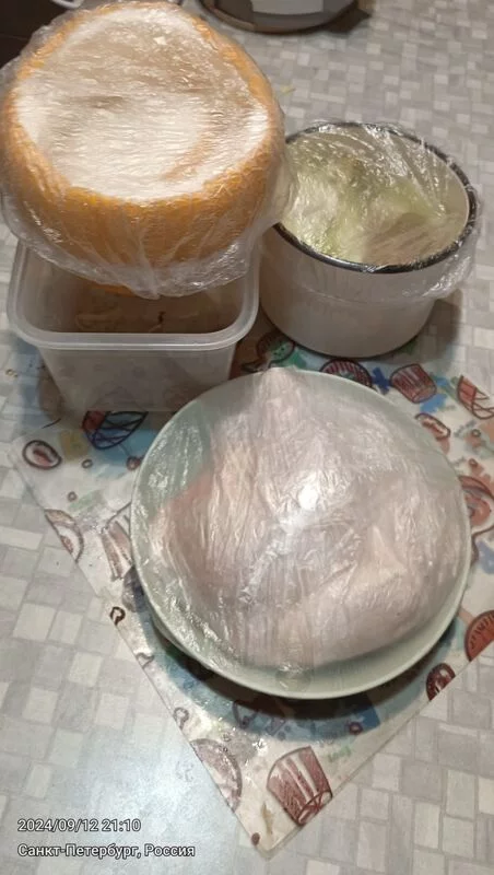 Tapтaлeтки & Ко