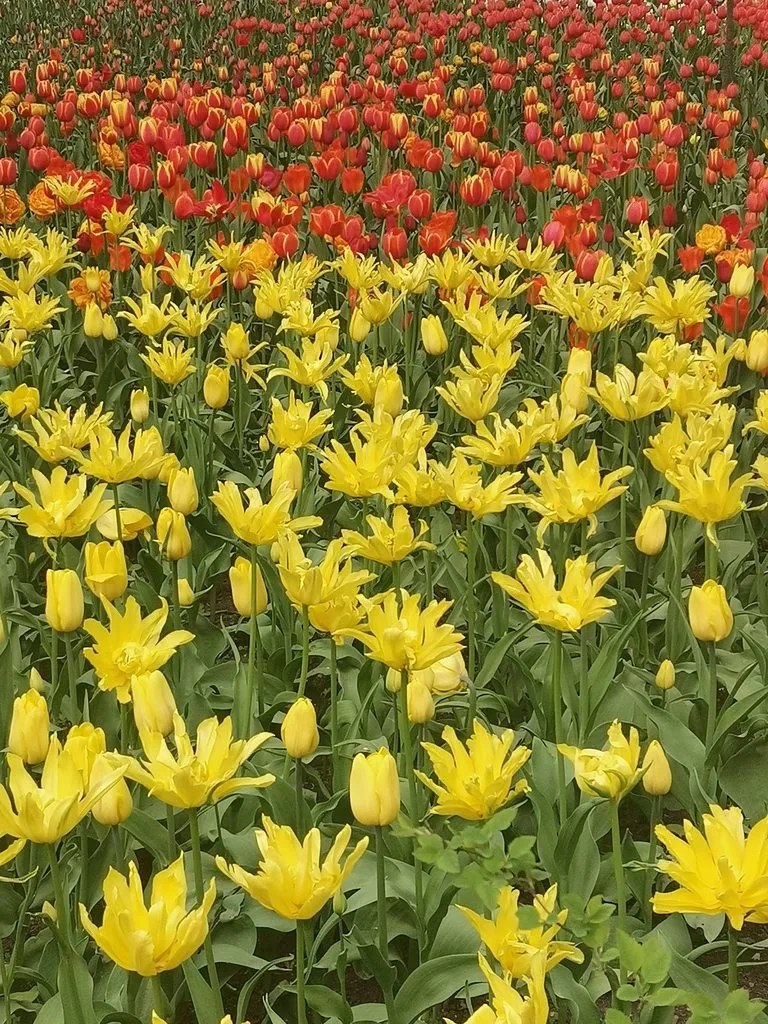 Выходные в Питере, или Куда сходить с друзьями в Санкт-Петербурге