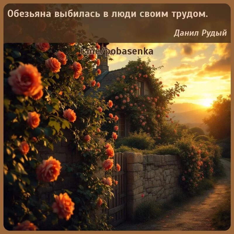 «Обезьяна выбилась в люди своим...» height="550" width="550"