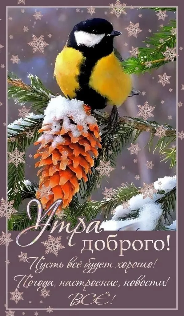 Кафе «У пани Сони»