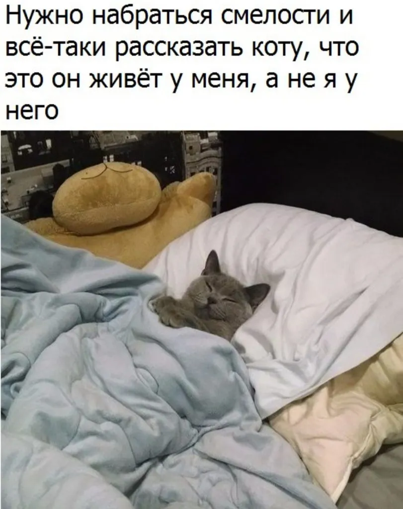 Посмеялся сам - поделись с другом!!!